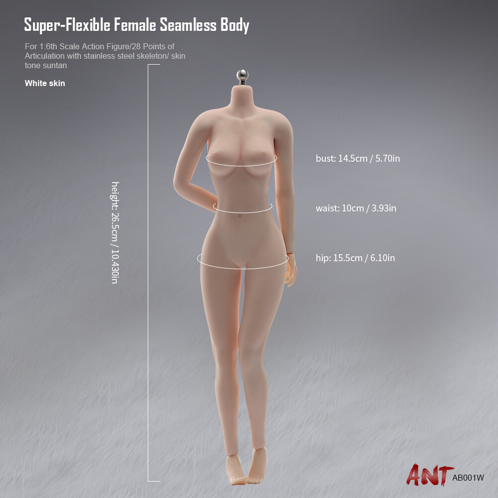 1:6 Pale Skin Large Bust Breast Flexible Female Seamless Body Figure Body Model