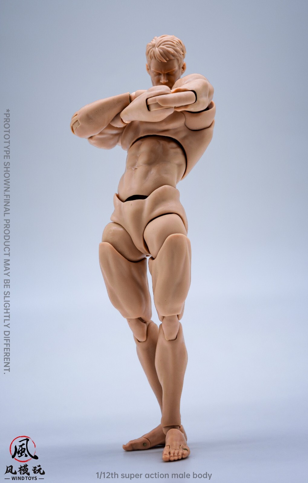 Wind Toys 1/1 Male Pale Flexible Joint Body 16cm Articulated 12″ Action Figure